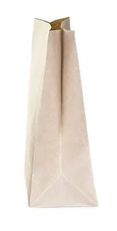 Saco de papel Kraft especial